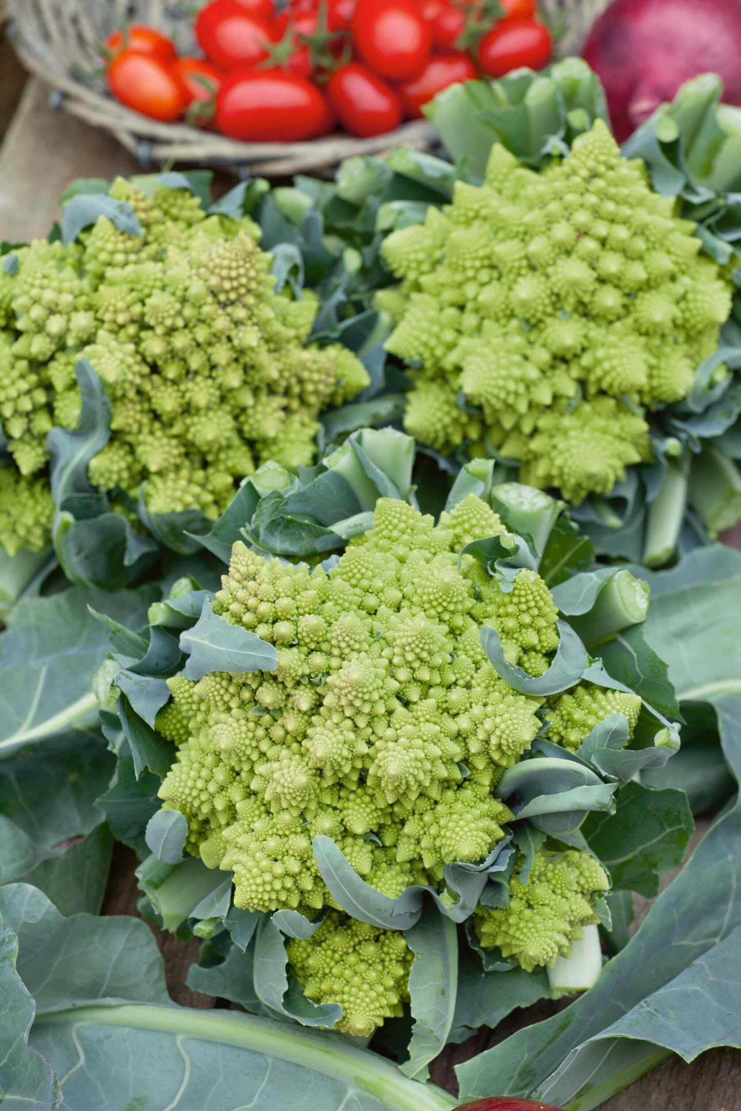 250+ Romanesco Broccoli Seeds | Brassica oleracea | Unique Non-GMO Heirloom Vegetable for Gardens | Stunning Spiral Heads