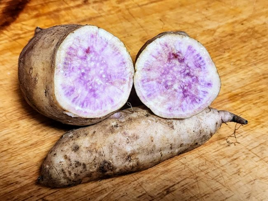 Okinawa Purple & Beauregard Sweet Potato Cuttings, 5 Each, Ipomoea batatas, for Planting