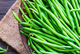 20 Seeds Provider Green Bush Bean - Phaseolus vulgaris | Heirloom Bean for Planting, Home Gardening & Fresh Vegetable Harvest