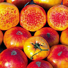 30 Hillbilly Tomato Seeds – Heirloom, Sweet & Juicy Beefsteak, Yellow-Orange with Red Stripes
