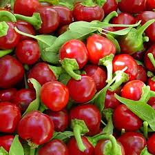 250mg Large Hot Cherry Pepper Seeds Capsicum annuum | Medium-Hot, Non-GMO, Ideal for Pickling, Stuffing, and Fresh Cooking