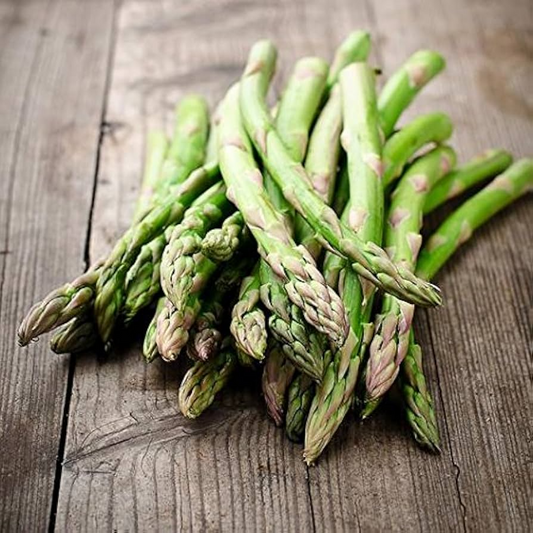 1g Asparagus Mary Washington Seeds Asparagus officinalis | Heirloom Vegetable Long-Lived Perennial for Garden Planting