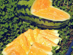 Orangeglo Watermelon Seeds | Heirloom - Non-GMO | 10-1,000 Seeds | Sweet Orange-Flesh Melon | 20-30 lbs | USDA Zones 3-10 |