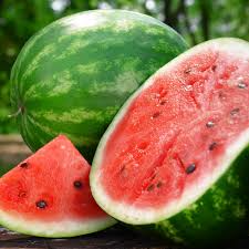 2 Gram Seeds Watermelon Crimson Sweet – Citrullus lanatus | Heirloom Seeds for Planting, Juicy and Sweet Watermelon Variety