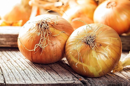 100 Seeds Walla Walla Sweet Onion – Allium cepa, Large Mild Onions, Garden Favorite