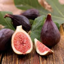 100+ Violette de Bordeaux Fig Seeds – Grow Ficus carica Sweet Dark Figs for Garden & Home