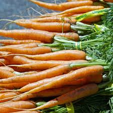 300 Little Fingers Carrot Seeds – Daucus carota – Heirloom, Sweet & Crisp, Mini Baby Carrots