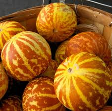 10 Seeds Tigger Melon (Cucumis melo) – Unique Heirloom Melon with Striking Stripes and Sweet Fragrant Flesh