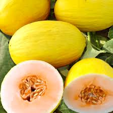 20 Seeds Crenshaw Melon (Cucumis melo) – Sweet, Juicy, Aromatic Melons for Home Gardens