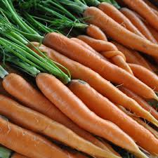 1g Carrot Scarlet Nantes Seeds Daucus carota | Sweet, Tender Heirloom Variety for Fresh Eating, Juicing & Cooking