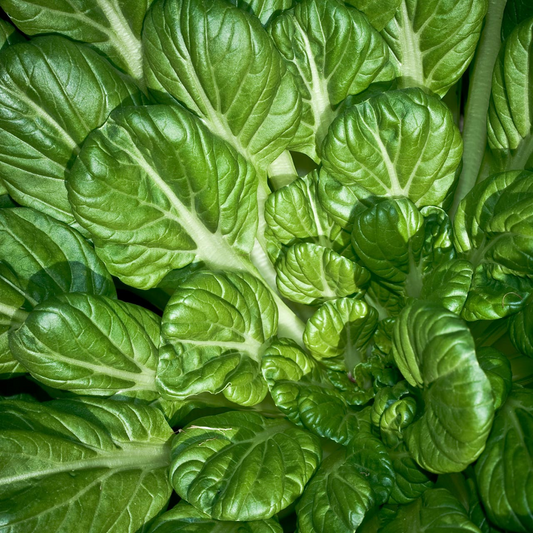 500mg Pak Choi Tatsoi Seeds for Planting - Heirloom Non-GMO Asian Greens - Fast-Growing for Stir-Fries, Salads & Garden Vegetables