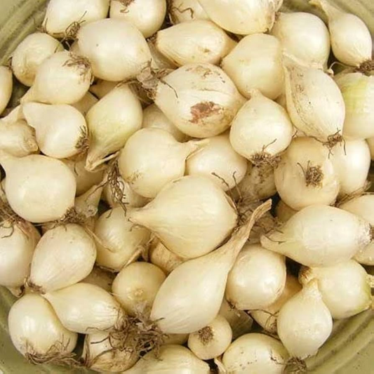 White Onion Sets – Naturally Grown, Non-GMO | 8 oz. (40-60 Bulbs) | Easy to Grow & Store | Shipping Now