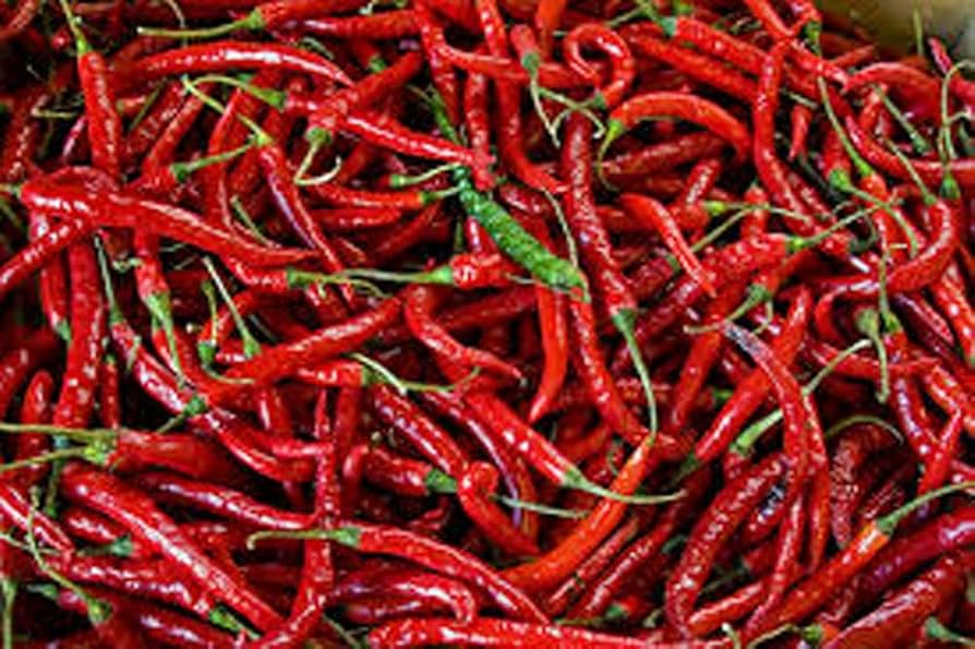 30 Seeds Cayenne Long Thin Pepper, Capsicum Annuum, Spicy Chili for Cooking and Drying