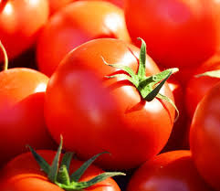 10 Seeds Celebrity Tomato (F1), Solanum Lycopersicum, High-Yield Hybrid Tomato