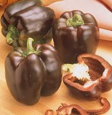 25 Chocolate Beauty Pepper Seeds – Capsicum annuum – Sweet Bell Pepper, Rich Chocolate Color, Non-GMO, Heirloom, Crisp & Juicy