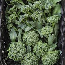 Broccoli Waltham 29 Seeds (1 Gram) - Heirloom Non-GMO Variety - High-Yield, Sweet Broccoli for Fresh Eating, Steaming, & Gardening