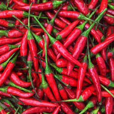 20 Red Thai Pepper Seeds – Hot & Spicy, Heirloom, Non-GMO, High-Yield Chili Peppers
