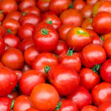 10 Seeds Early Girl Tomato (F1 Hybrid) – Fast-Maturing, Sweet, and Juicy Tomato Variety