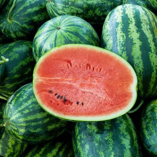 5 Seeds Jubilee Watermelon (Citrullus lanatus) – Sweet, Juicy, Striped Heirloom Variety