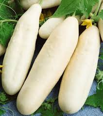 50 Seeds White Wonder Cucumber (Cucumis sativus) – Unique White Skin, Crisp Texture, Sweet Flavor