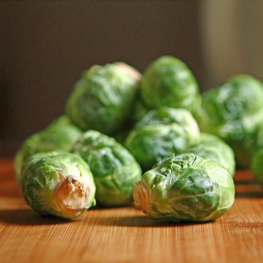 250 Seeds Catskill Brussel Sprouts - Brassica oleracea | Heirloom Variety for Planting, Gardening & Nutritious Harvest