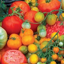 15 Seeds Creole Tomato (Solanum lycopersicum) – Sweet, Juicy, Flavorful Heirloom Variety