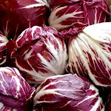 500 Radicchio Seeds - Palla Rosa Heirloom, Non-GMO, Italian Chicory, USA Seller