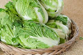 150 Seeds Chinese Cabbage Matsushima - Brassica rapa Pekinensia Group | Heirloom Seeds for Planting, Gardening & Fresh Harvest