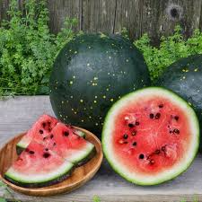 15 Seeds Moon & Stars Watermelon (Citrullus lanatus) – Unique Heirloom Variety with Yellow Spots and Sweet Red Flesh