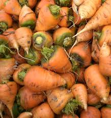 200 Seeds Oxheart Carrot (Daucus carota) – Heirloom, Short & Thick Roots, Sweet Flavor, Ideal for Heavy Soils