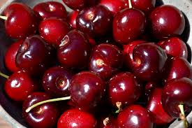 Lambert Cherry Tree Scion Cuttings x3 - Sweet Red Cherries, Great for Fresh Eating & Cooking