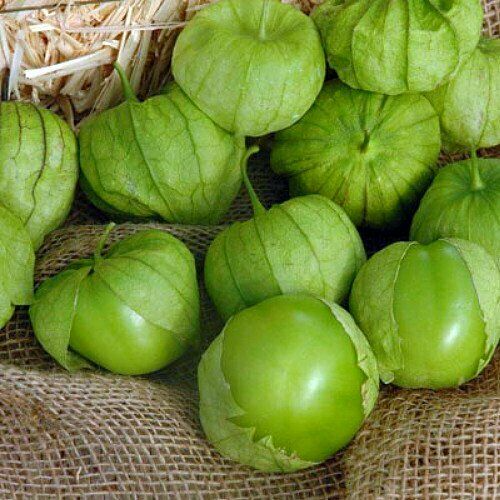 100 mg Seeds Tomatillo Verde – Physalis philadelphica | Fresh Mexican Husk Tomatoes for Planting, Salsa, and Cooking