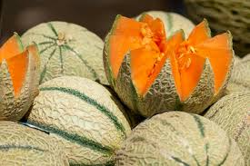 10 Charentais Melon Seeds - Heirloom French Cantaloupe - Organic - Non-GMO - Sweet & Fragrant - Rare Garden Fruit