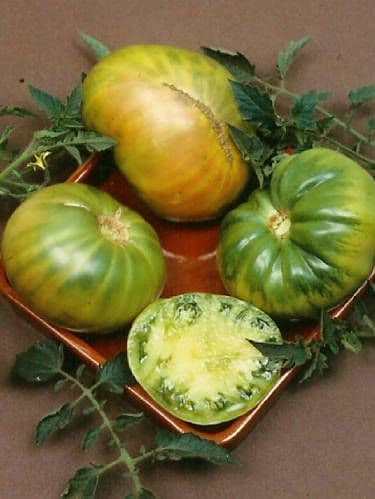 30 Aunt Ruby’s German Green Tomato Seeds – Solanum lycopersicum – Heirloom Beefsteak, Sweet & Tangy, High-Yielding