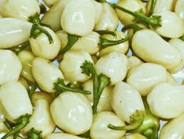 White Habanero Pepper Seeds | Heirloom, Non-GMO | 3 ft Tall Plants | 250,000-500,000 Scoville |  | 100 Days to Maturity