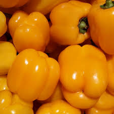 25 Golden California Wonder Pepper Seeds – Capsicum annuum – Heirloom, Sweet & Crisp, High-Yielding