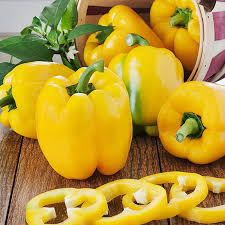 20 Sunbright Sweet Bell Pepper Seeds – Capsicum annuum – Yellow Bell Pepper, Non-GMO, Heirloom, Mild & Sweet Flavor