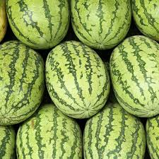 Carolina Cross Watermelon Seeds | Heirloom, Non-GMO | 50-200 lbs Fruit | 95 Days | USDA Zones 3-10 |