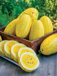 Gold In Gold Hybrid Watermelon Seeds - 50+ Seeds - Sweet Yellow Flesh - USA Grown -  - High Yield Fruit Garden