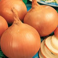 250mg Onion Burrell's Yellow Valencia Seeds Allium cepa | Sweet Globe Onion, Non-GMO, High Yields, Fresh & Storage-Ready Variety