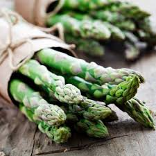 25 Bare Root Plants Green Atlas Asparagus, 2-Year Crowns, Asparagus officinalis, Easy to Grow Garden Starter
