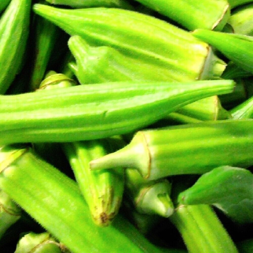 5g Okra Clemson Spineless Seeds Abelmoschus esculentus | Heirloom, Non-GMO, High Yield, Heat Tolerant, Tender Pods, Easy to Grow