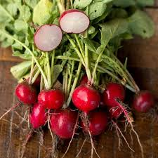 1g Radish Cherry Belle Seeds Raphanus sativus | Heirloom Variety, Non-GMO, Crisp & Mild Flavor, Fast-Growing Vegetable, Easy to Grow