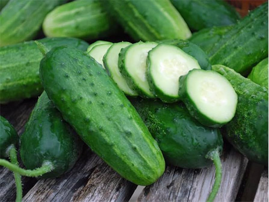 Boston Pickling Cucumber Seeds – Heirloom, Non-GMO, Ideal for Pickles