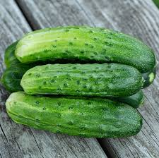 1g Cucumber Spacemaster 80 Seeds Cucumis sativus | Compact, High-Yield Variety, Perfect for Small Gardens & Containers