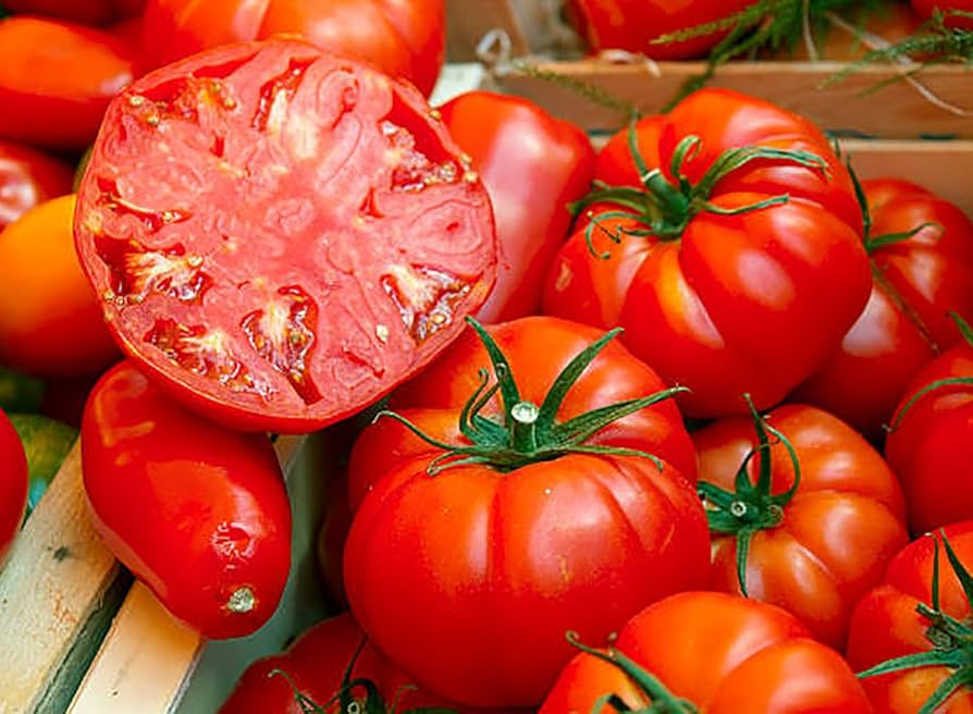 30 Beefsteak Tomato Seeds – Solanum lycopersicum – Large, Juicy & Meaty, Perfect for Slicing