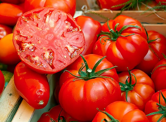 30 Beefsteak Tomato Seeds – Solanum lycopersicum – Large, Juicy & Meaty, Perfect for Slicing