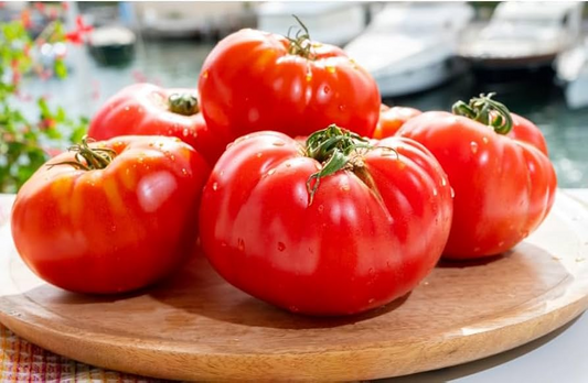100 mg Floradel Tomato Seeds - Solanum lycopersicum | Heirloom Slicing Tomato for Planting, Gardening & Juicy Harvest