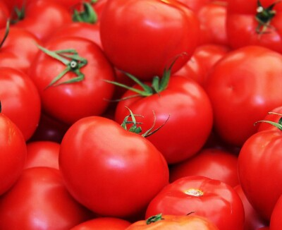 100 Floridade Tomato Seeds – Heirloom Determinate Variety | Lycopersicon esculentum | Non-GMO | Heat-Tolerant Slicing Tomato