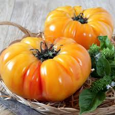 30 Pineapple Tomato Seeds | Solanum lycopersicum | Heirloom Bicolor Beefsteak | Sweet & Juicy